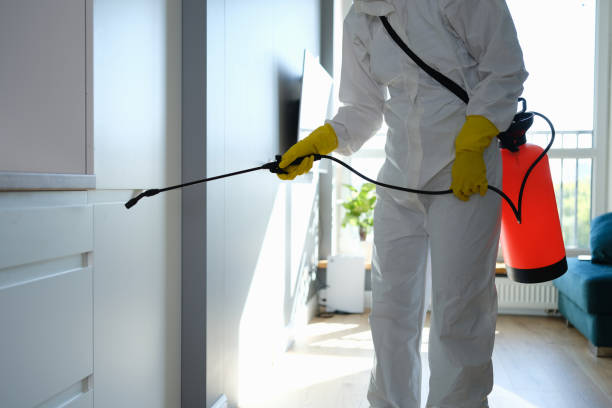 Best Certified Mold Removal  in Bluffton, OH