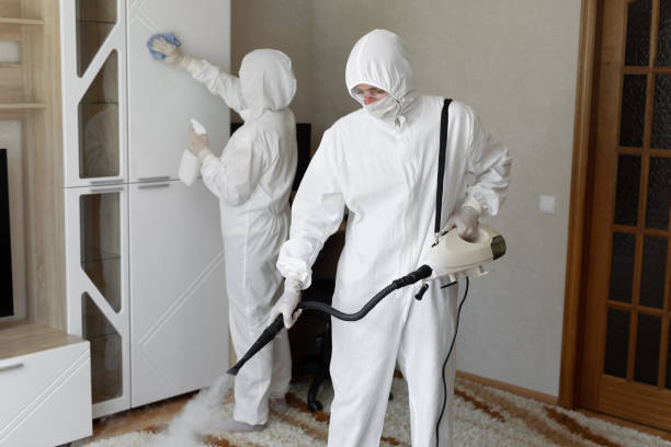 Best Toxic Mold Removal  in Bluffton, OH