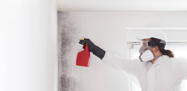 Best Crawl Space Mold Removal  in Bluffton, OH